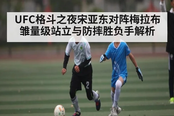UFC格斗之夜宋亚东对阵梅拉布雏量级站立与防摔胜负手解析 - c7c7.app